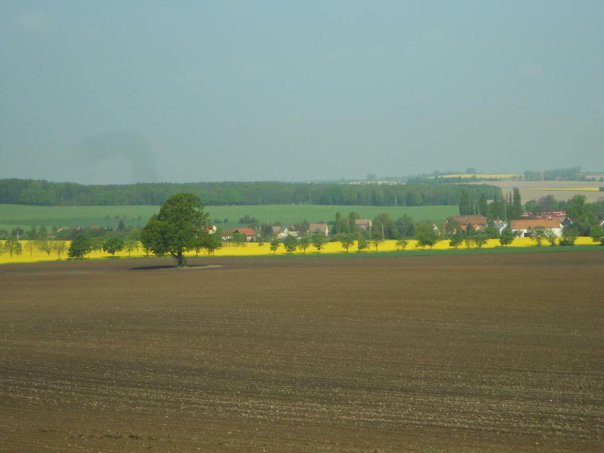 Gastehaus Schirner Hotel Niederau Екстериор снимка