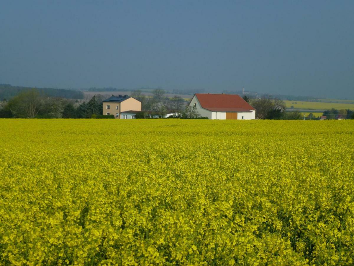 Gastehaus Schirner Hotel Niederau Екстериор снимка